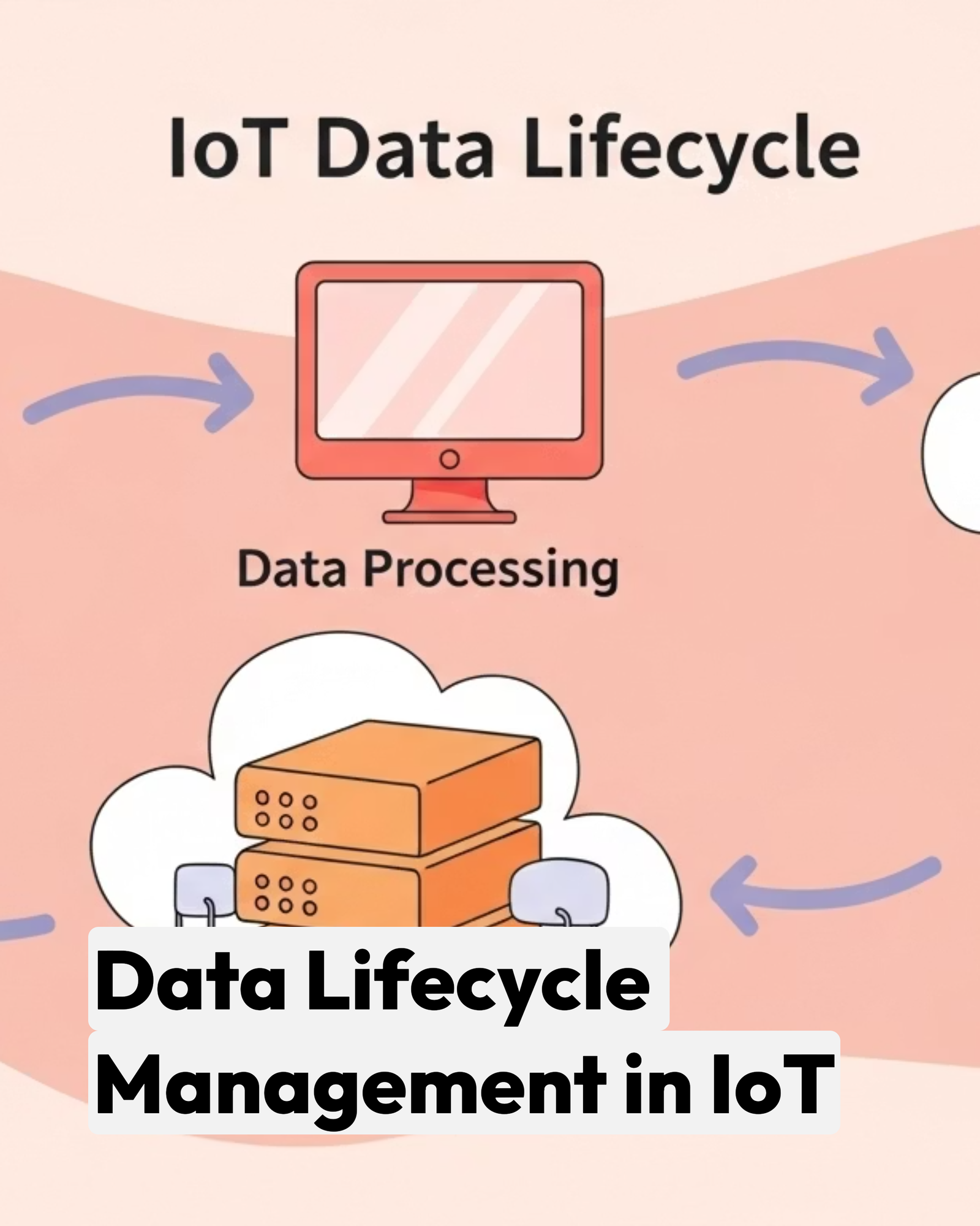 Data Lifecycle Management in IoT