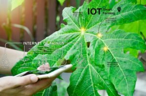 Bio-Inspired IoT