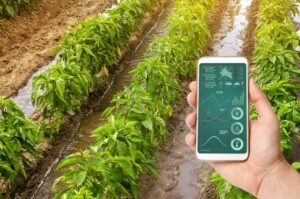 Smart Farming